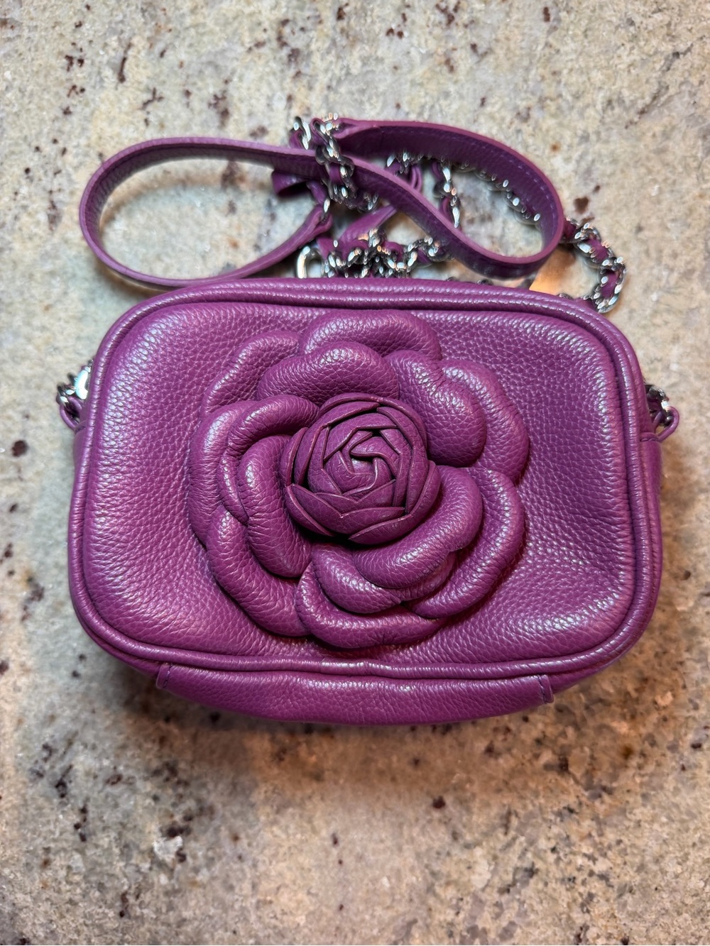 Brighton Purple Floral Leather Crossbody Camera Bag with dust bag
